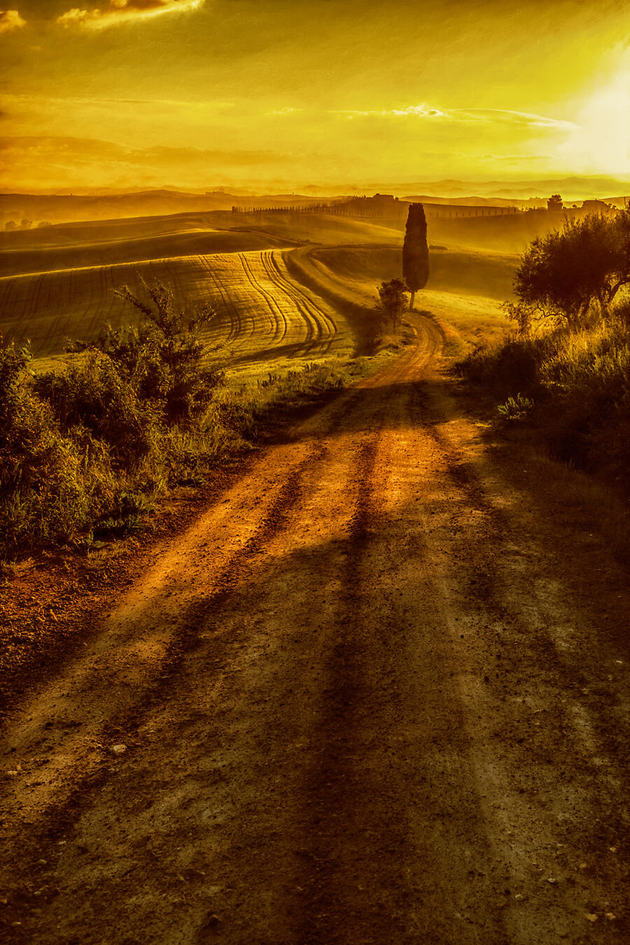 Tuscan Dust Road