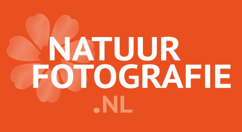 Interview Natuurfotografie.nl